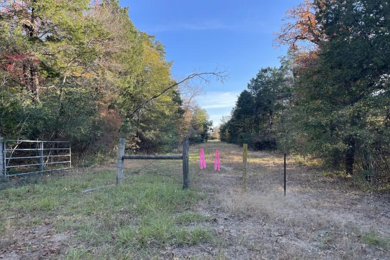 Rachel Anderson 62 Fairfield+/9.91 Acres, Absolutely Beautiful! Wildwood Addn., Soft