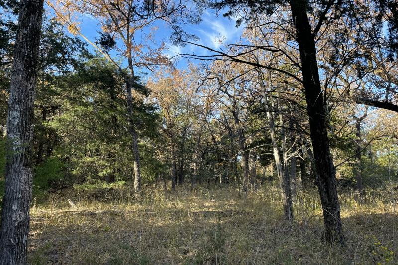 Rachel Anderson 62 Fairfield+/9.91 Acres, Absolutely Beautiful! Wildwood Addn., Soft